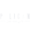 Pelican